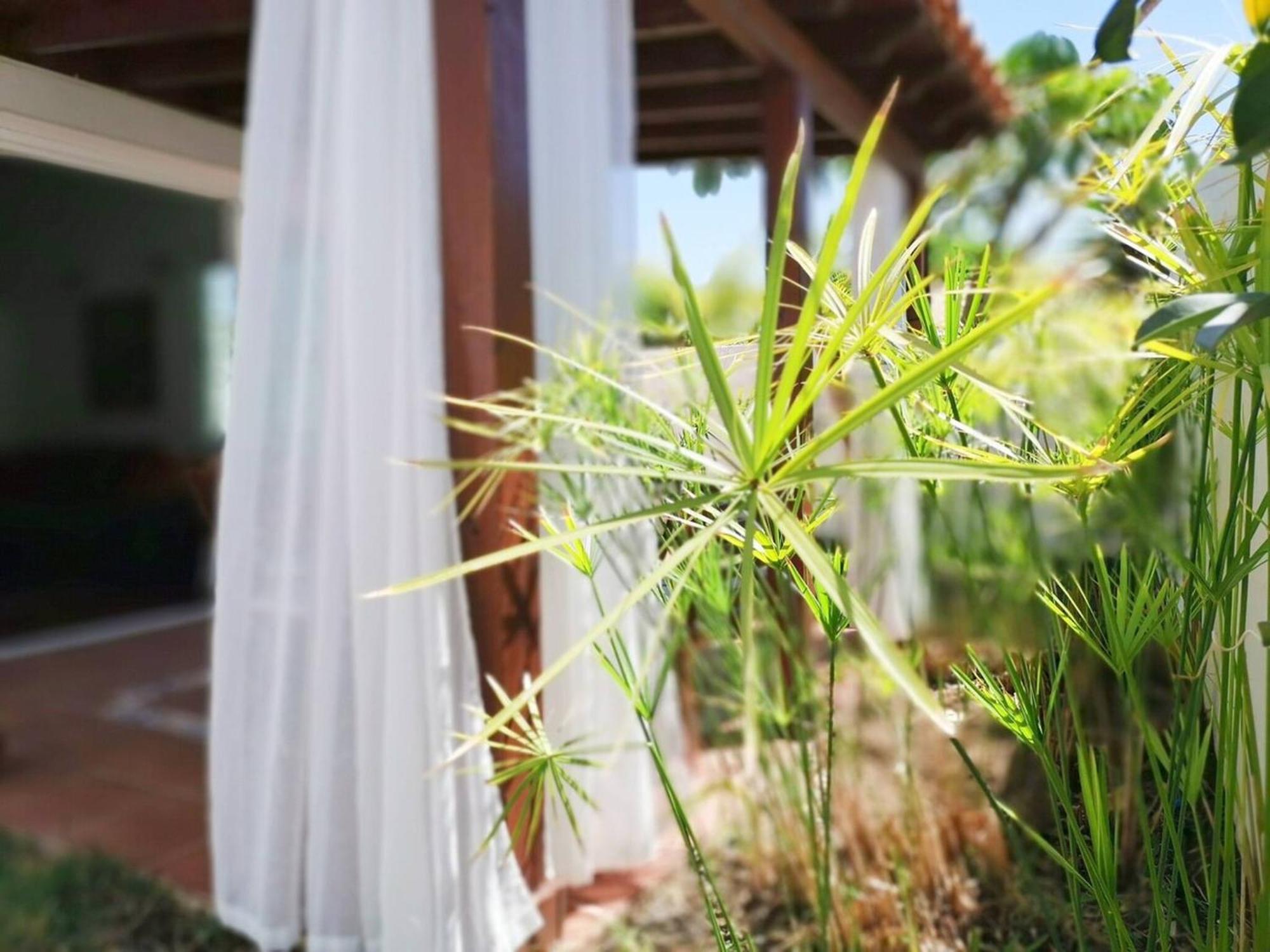 Los Porches D40 By Pride Holiday Rentals San Bartolomé Extérieur photo